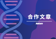 登顶Nature|产量+抗性，鱼和熊掌也可兼得